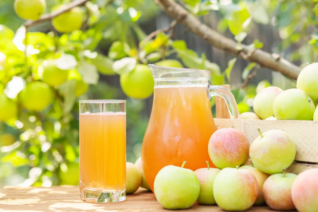 Pommes et jus de pommes frais au verger de Pique-Cailloux